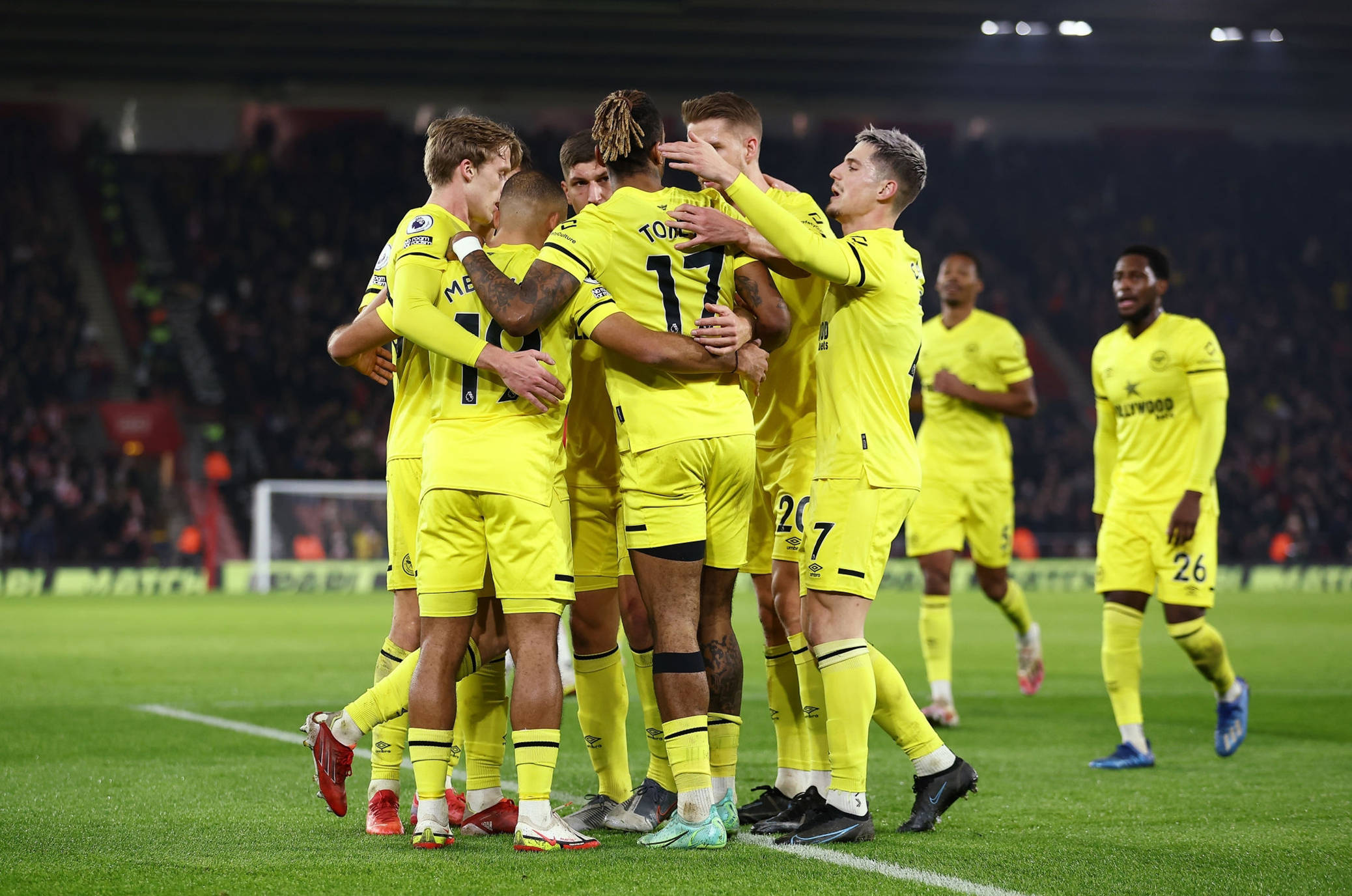 引入了一些 引入了一些